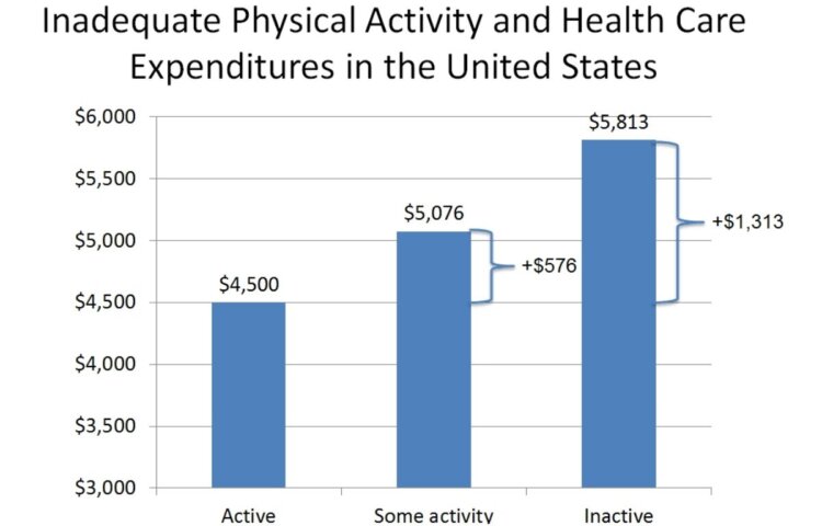 How Do Wellness Programs Reduce Healthcare Costs