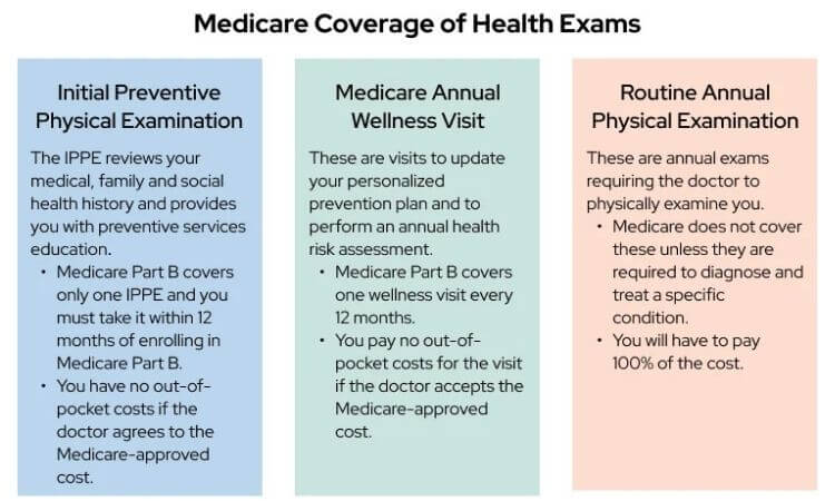 Wellness vs Physical Exams What You Need to Know