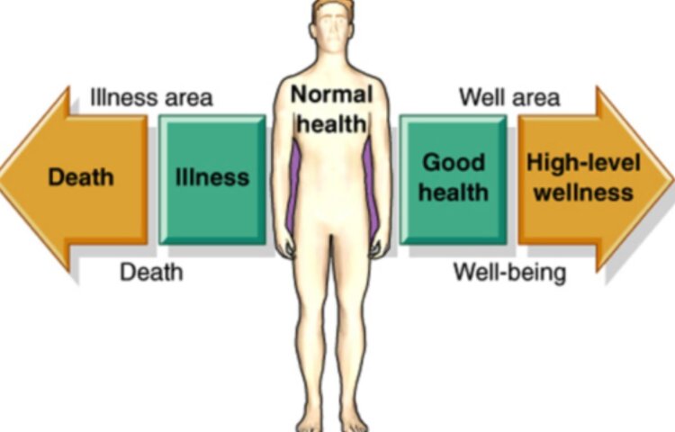 What is the Difference between Health And Wellness Quizlet Chapter 5