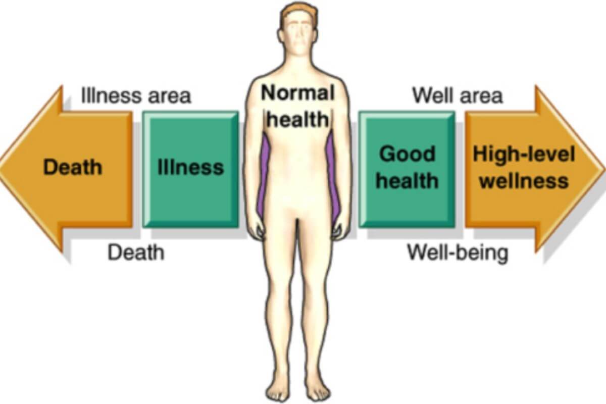 What is the Difference between Health And Wellness Quizlet Chapter 5