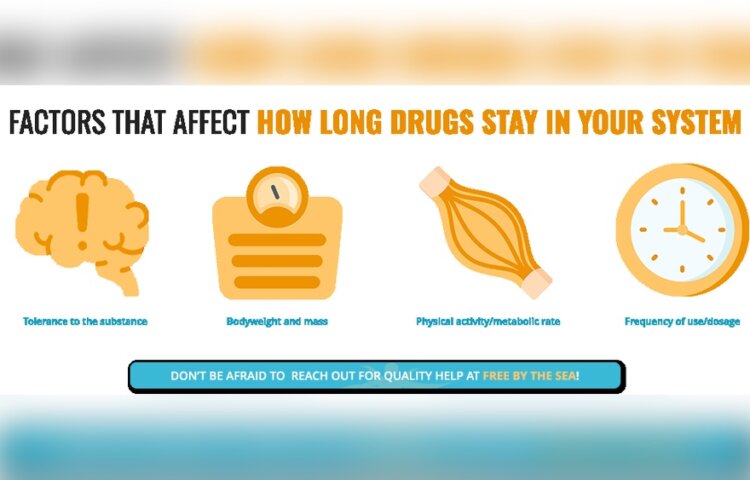 Can Toxins Stay in Your Body for Years