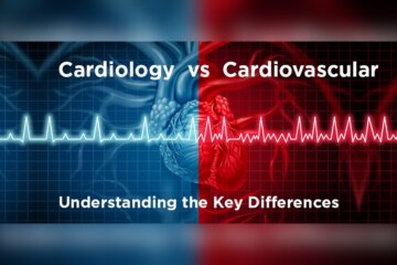 Difference between Cardio And Cardiovascular