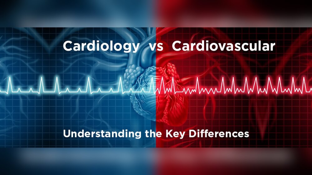 Difference between Cardio And Cardiovascular