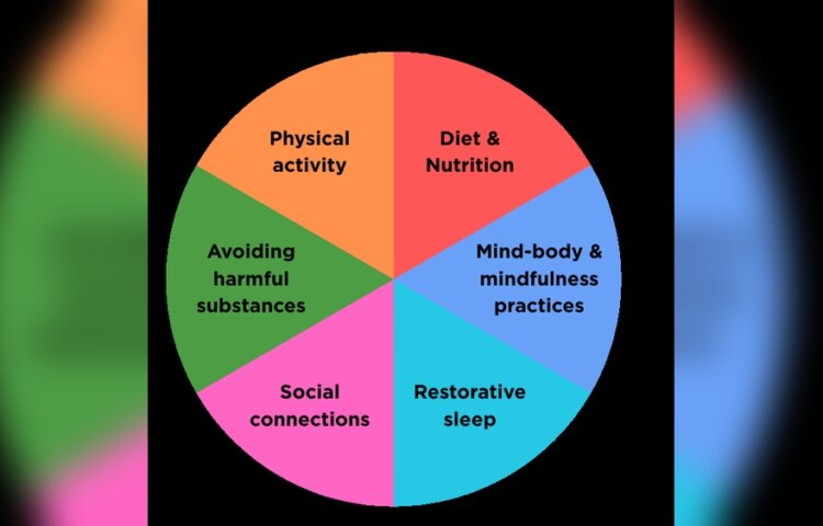 How Does Diet And Nutrition Impact Physical Health