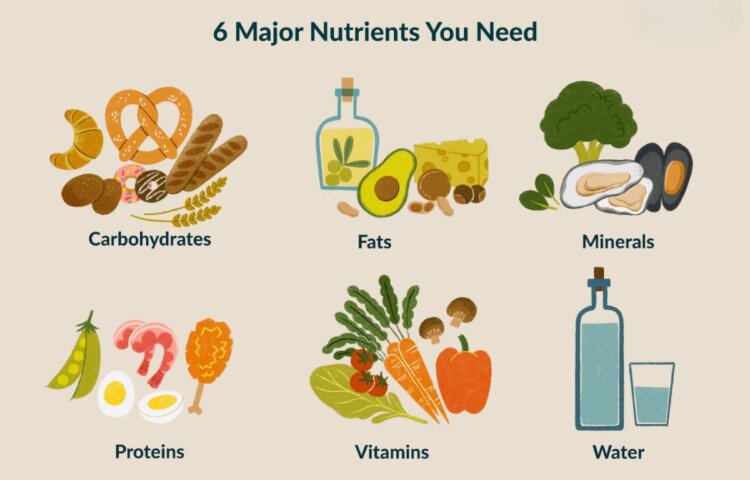 how many nutrients does the human body require for good health