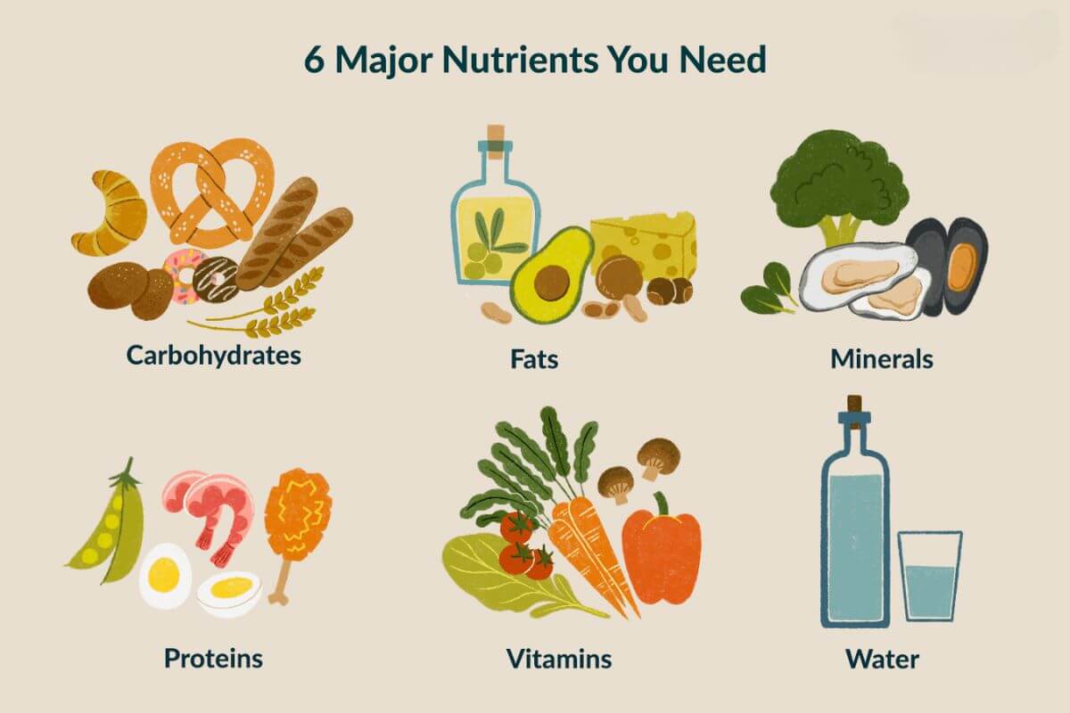 how many nutrients does the human body require for good health