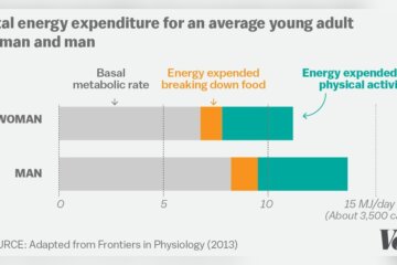 How Much is Diet And How Much is Exercise Radiant Glow Health How Much is Diet And How Much is Exercise