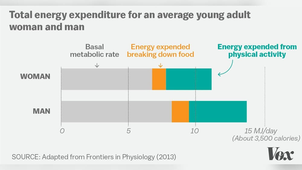 How Much is Diet And How Much is Exercise Radiant Glow Health How Much is Diet And How Much is Exercise