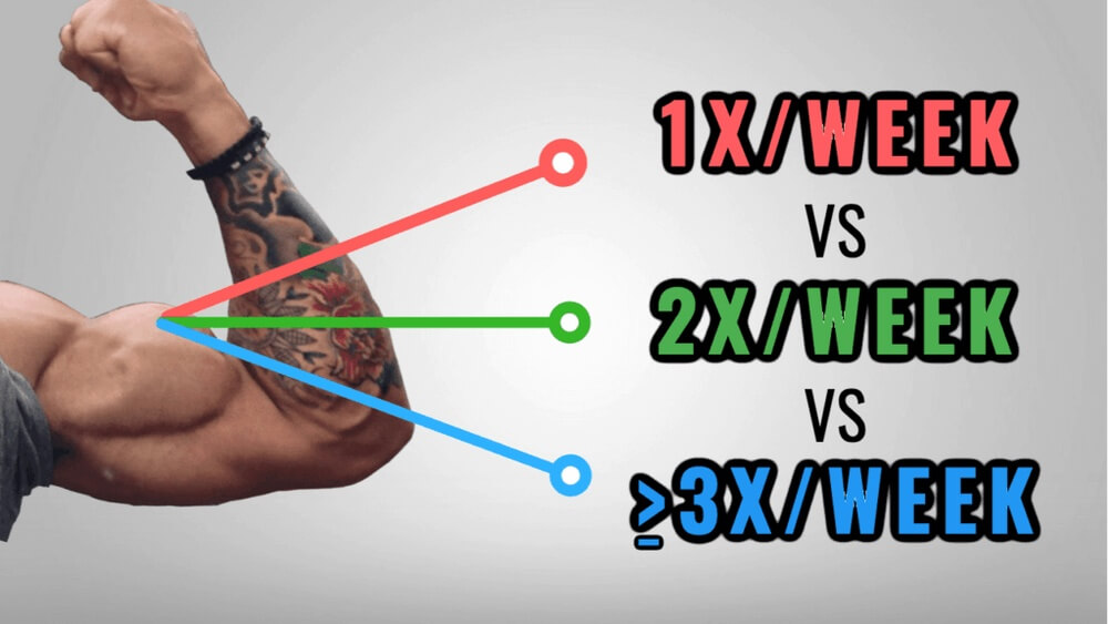 How Often Should You Exercise a Muscle Group