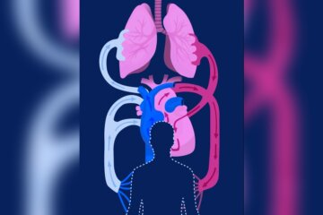 How to Strengthen Your Heart And Lungs With Exercise