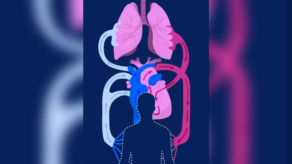 How to Strengthen Your Heart And Lungs With Exercise