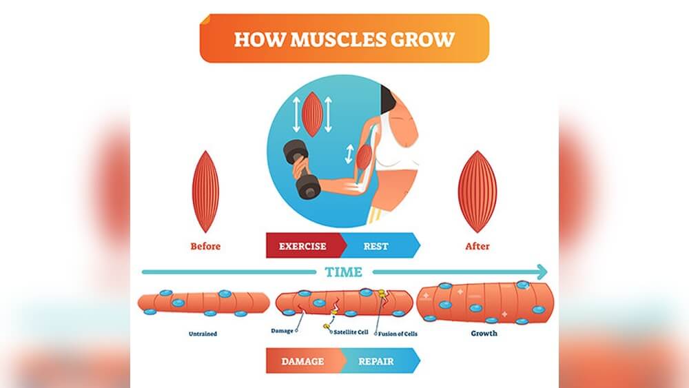 Should You Exercise With Sore Muscles Radiant Glow Health Should You Exercise With Sore Muscles