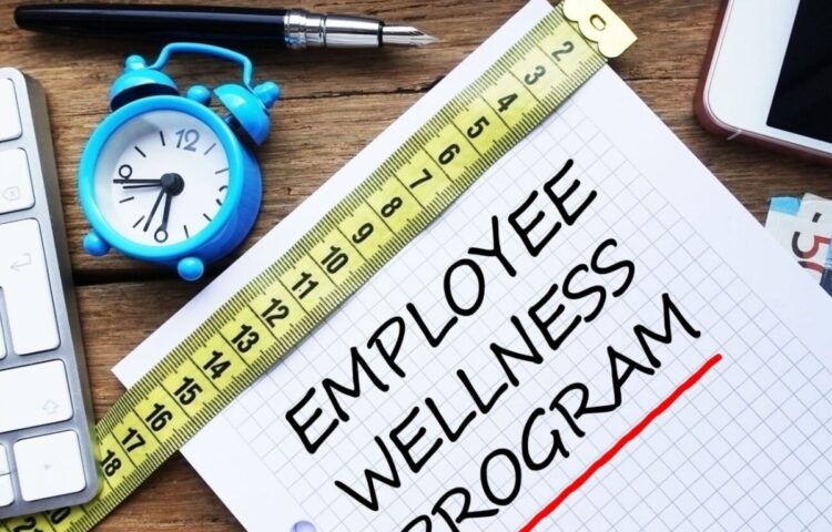 what are the disadvantages of wellness programs