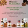 What are the Health Benefits of Mushroom Supplements