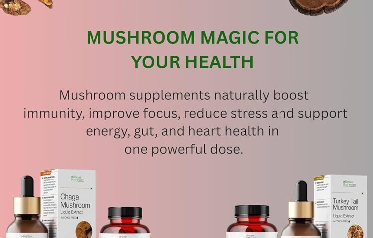 What are the Health Benefits of Mushroom Supplements