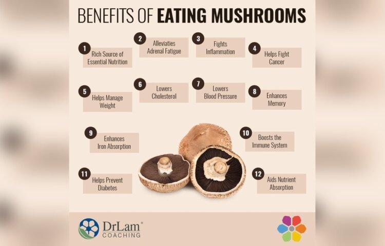 What are the Nutritional Benefits of Eating Mushrooms