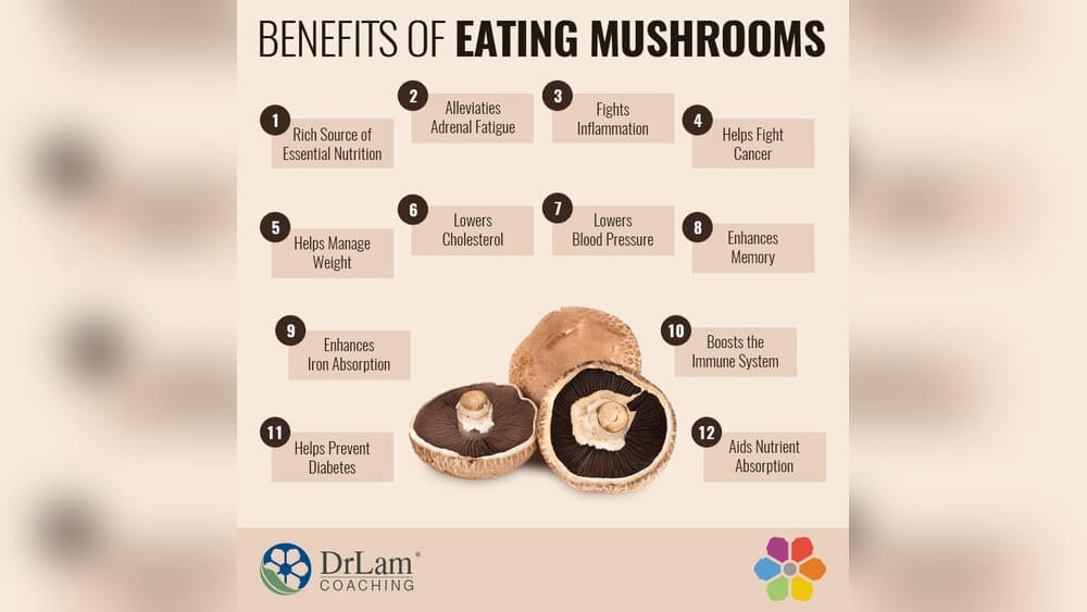 What are the Nutritional Benefits of Eating Mushrooms Radiant Glow Health What are the Nutritional Benefits of Eating Mushrooms
