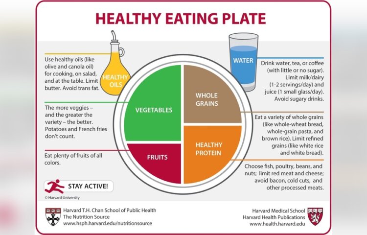 What Does a Nutritious Diet Look Like