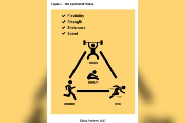 What is Exercise Simple Definition