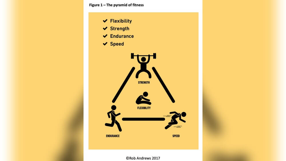 What is Exercise Simple Definition