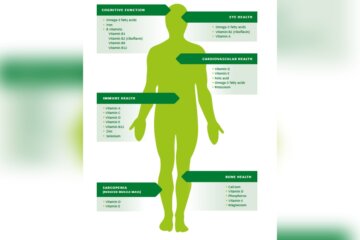 What is the Importance of Nutrition to Human Health