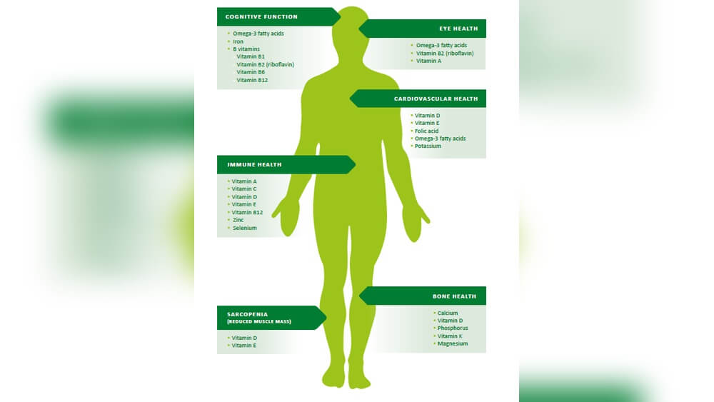 What is the Importance of Nutrition to Human Health: Key Benefits Explained 1 What is the Importance of Nutrition to Human Health