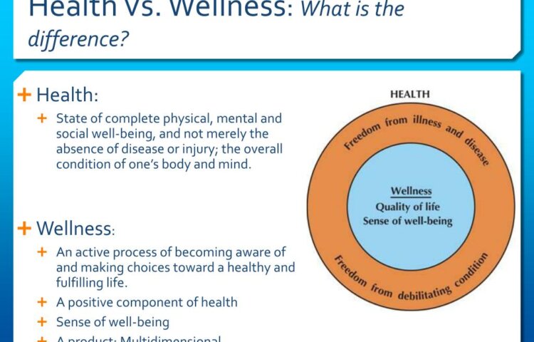 What is the Similarities between Health And Wellness