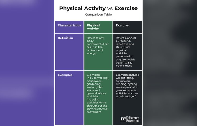 What is the Similarities between Physical Activity And Exercise