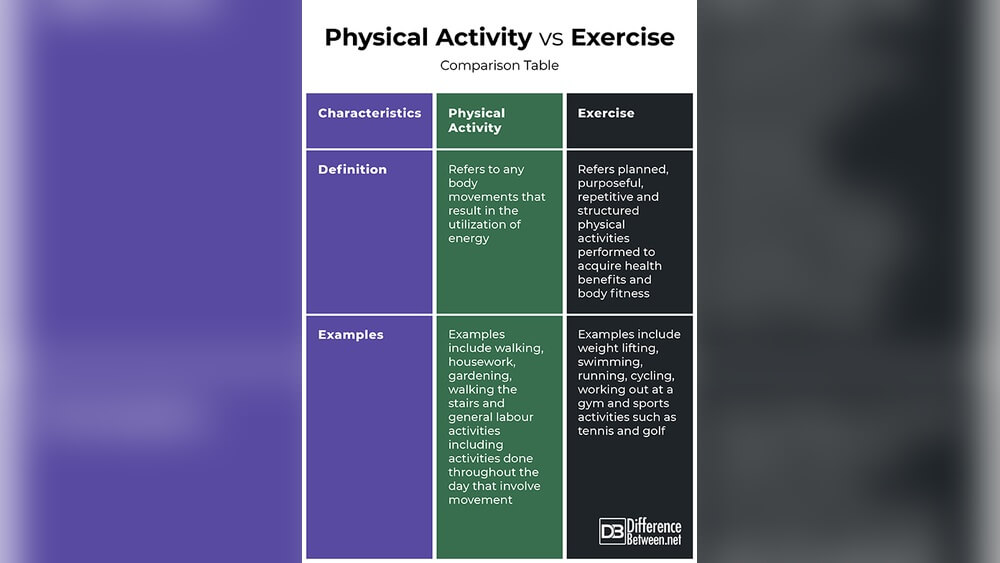 What is the Similarities between Physical Activity And Exercise