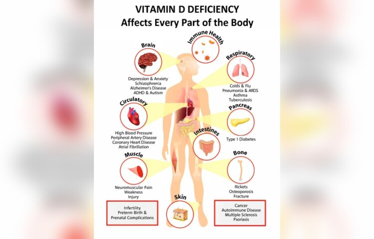 Where Can You Find Vitamins in Your Body
