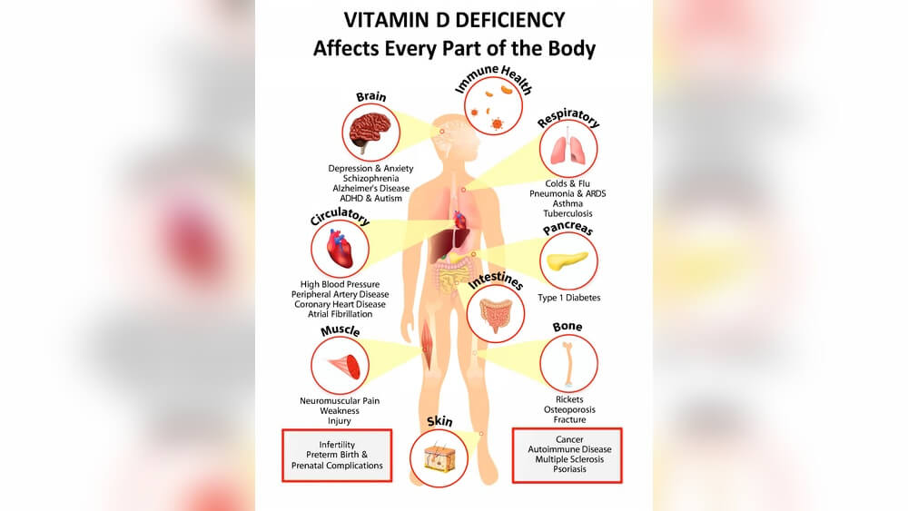 Where Can You Find Vitamins in Your Body Radiant Glow Health Where Can You Find Vitamins in Your Body