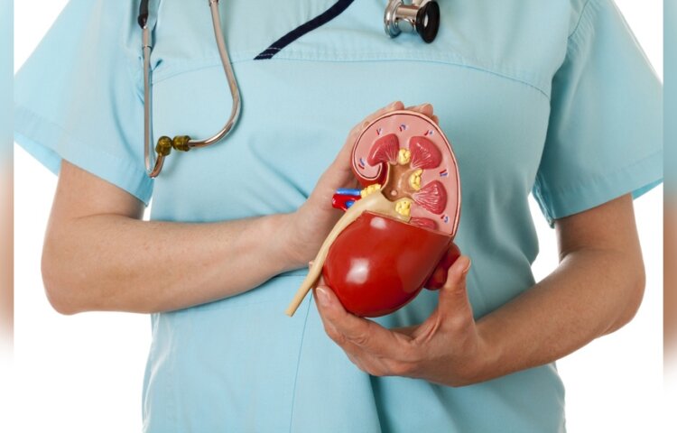 Why Do Doctors Recommend Exercise