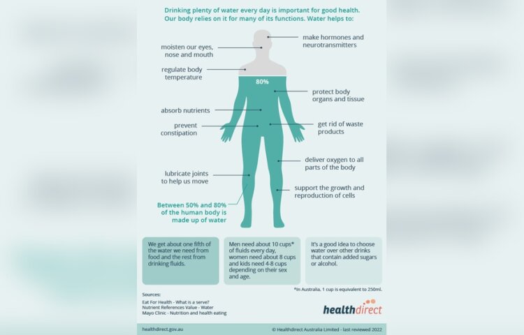 Why Doesn'T the Body Function Properly If It Does Not Get the Nutrients It Needs